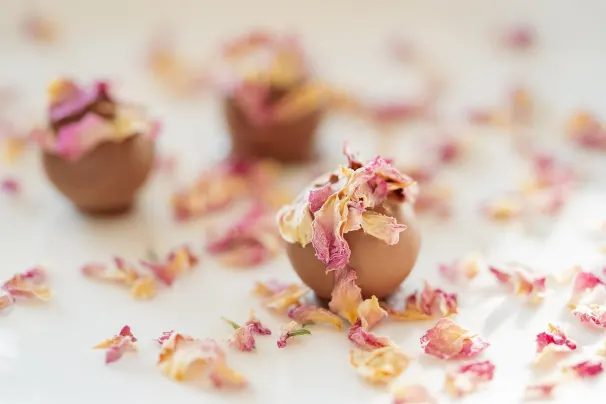 Casino Lotus Asia Android/iOS aplikacija